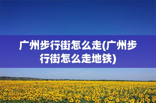 广州步行街怎么走(广州步行街怎么走地铁)