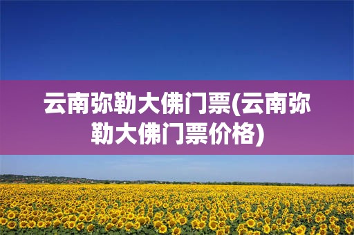 云南弥勒大佛门票(云南弥勒大佛门票价格)