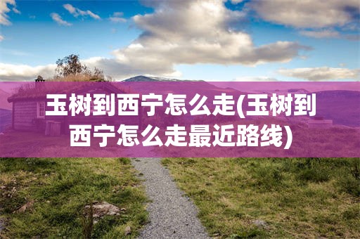 玉树到西宁怎么走(玉树到西宁怎么走最近路线)