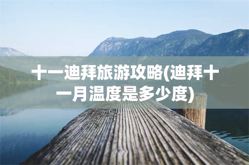 十一迪拜旅游攻略(迪拜十一月温度是多少度)