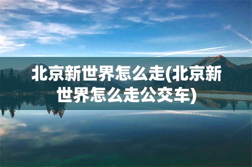 北京新世界怎么走(北京新世界怎么走公交车)