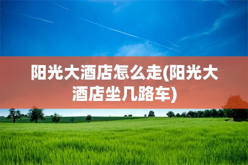 阳光大酒店怎么走(阳光大酒店坐几路车)