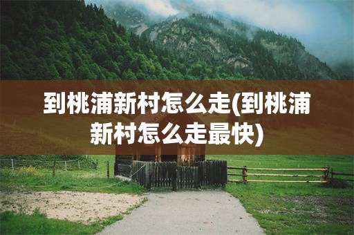 到桃浦新村怎么走(到桃浦新村怎么走最快)