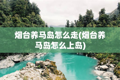 烟台养马岛怎么走(烟台养马岛怎么上岛)