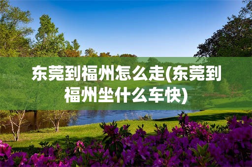东莞到福州怎么走(东莞到福州坐什么车快)