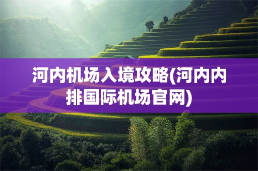 河内机场入境攻略(河内内排国际机场官网)