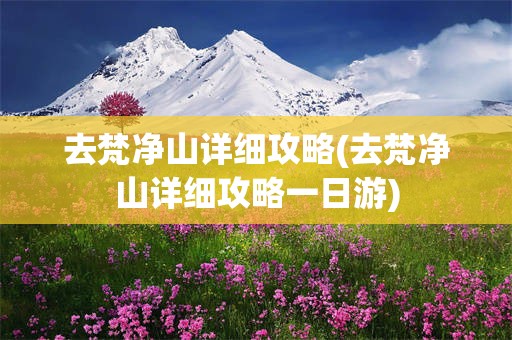 去梵净山详细攻略(去梵净山详细攻略一日游)