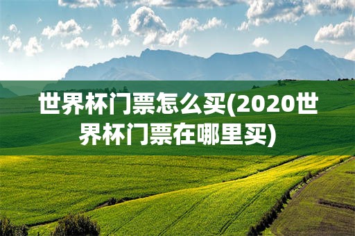世界杯门票怎么买(2020世界杯门票在哪里买)