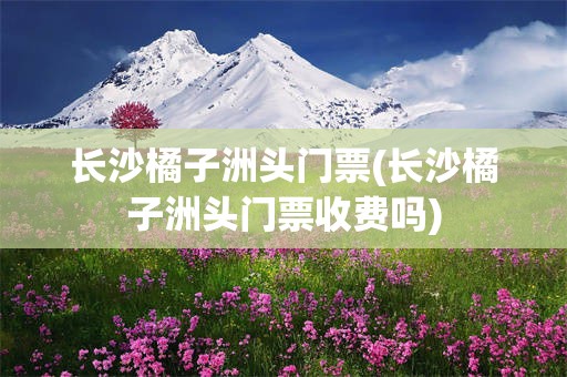长沙橘子洲头门票(长沙橘子洲头门票收费吗)