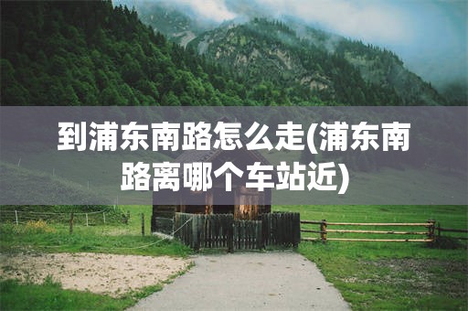 到浦东南路怎么走(浦东南路离哪个车站近)