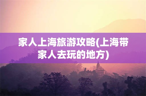 家人上海旅游攻略(上海带家人去玩的地方)