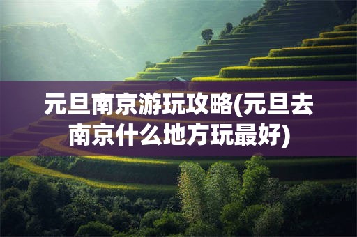元旦南京游玩攻略(元旦去南京什么地方玩最好)