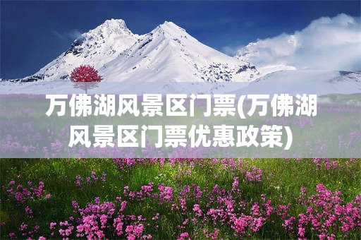 万佛湖风景区门票(万佛湖风景区门票优惠政策)