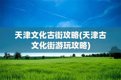 天津文化古街攻略(天津古文化街游玩攻略)