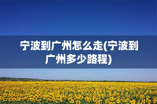 宁波到广州怎么走(宁波到广州多少路程)
