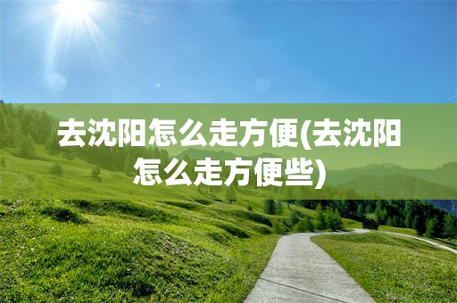 去沈阳怎么走方便(去沈阳怎么走方便些)
