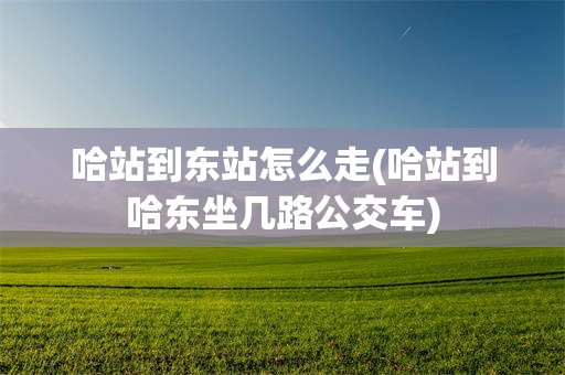 哈站到东站怎么走(哈站到哈东坐几路公交车)