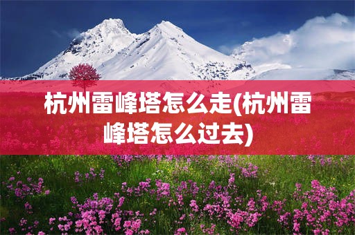 杭州雷峰塔怎么走(杭州雷峰塔怎么过去)