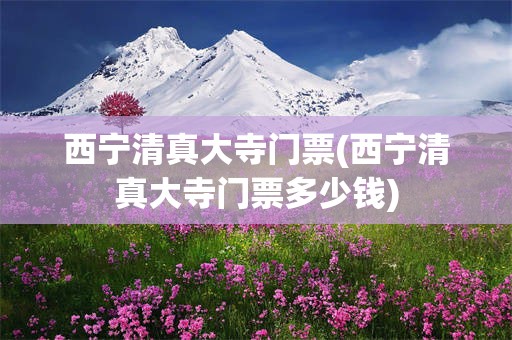 西宁清真大寺门票(西宁清真大寺门票多少钱)