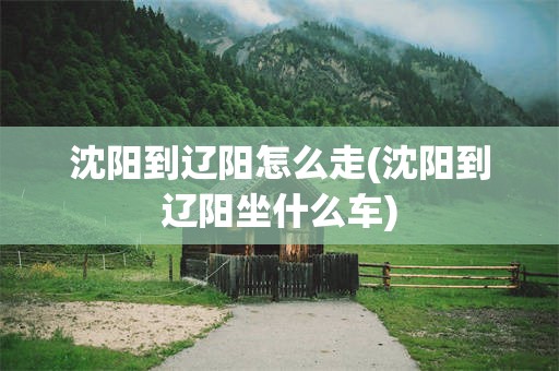 沈阳到辽阳怎么走(沈阳到辽阳坐什么车)