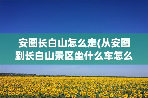 安图长白山怎么走(从安图到长白山景区坐什么车怎么走)