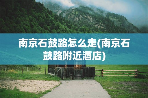 南京石鼓路怎么走(南京石鼓路附近酒店)