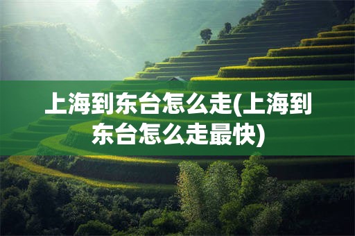 上海到东台怎么走(上海到东台怎么走最快)