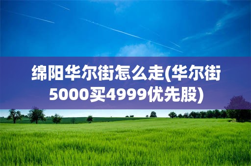 绵阳华尔街怎么走(华尔街5000买4999优先股)