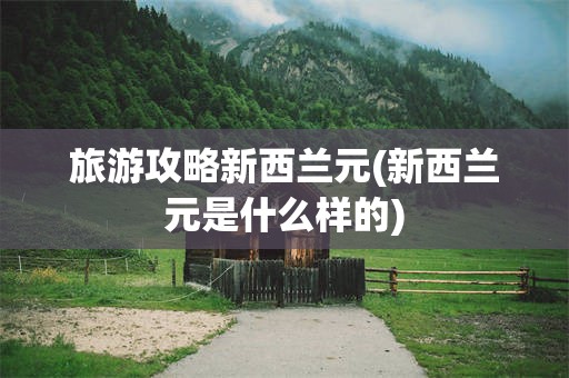 旅游攻略新西兰元(新西兰元是什么样的)