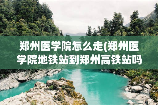 郑州医学院怎么走(郑州医学院地铁站到郑州高铁站吗)