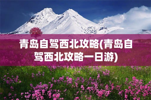 青岛自驾西北攻略(青岛自驾西北攻略一日游)