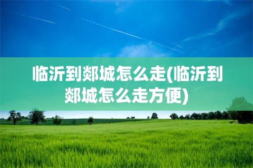 临沂到郯城怎么走(临沂到郯城怎么走方便)