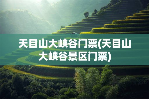 天目山大峡谷门票(天目山大峡谷景区门票)