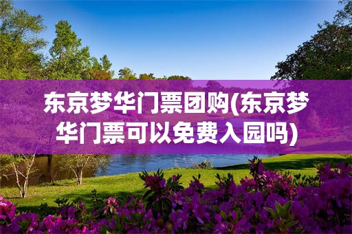 东京梦华门票团购(东京梦华门票可以免费入园吗)