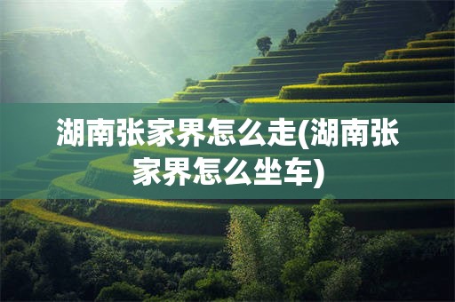 湖南张家界怎么走(湖南张家界怎么坐车)
