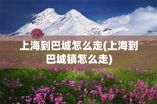 上海到巴城怎么走(上海到巴城镇怎么走)