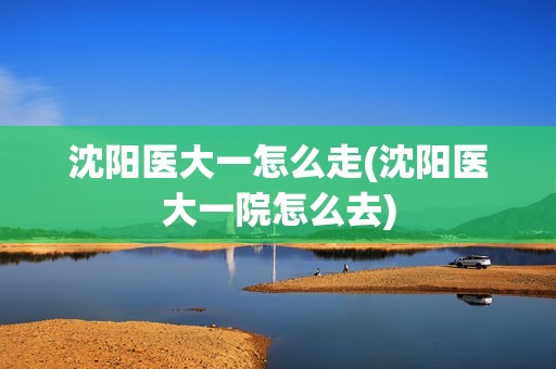 沈阳医大一怎么走(沈阳医大一院怎么去)