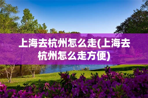 上海去杭州怎么走(上海去杭州怎么走方便)