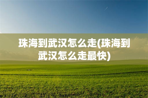 珠海到武汉怎么走(珠海到武汉怎么走最快)