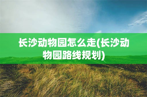 长沙动物园怎么走(长沙动物园路线规划)