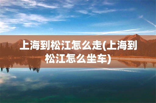 上海到松江怎么走(上海到松江怎么坐车)