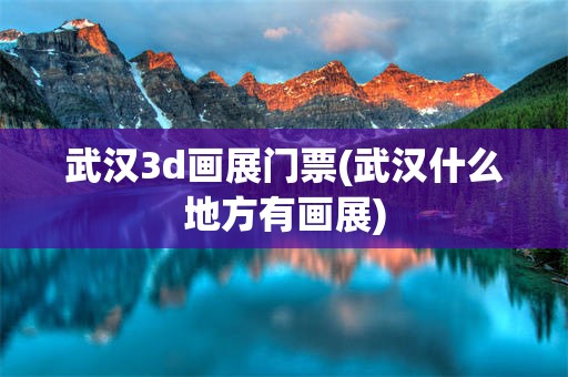武汉3d画展门票(武汉什么地方有画展)