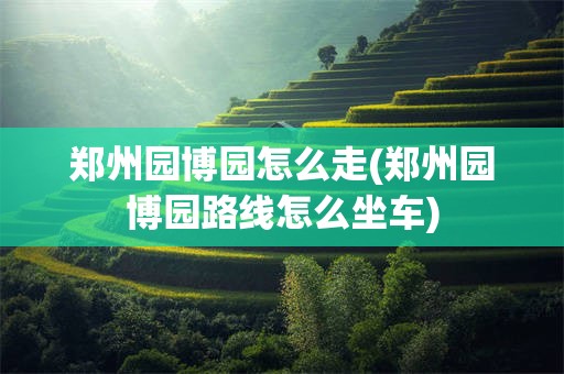郑州园博园怎么走(郑州园博园路线怎么坐车)