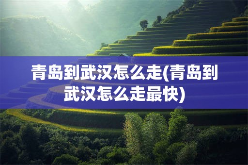 青岛到武汉怎么走(青岛到武汉怎么走最快)
