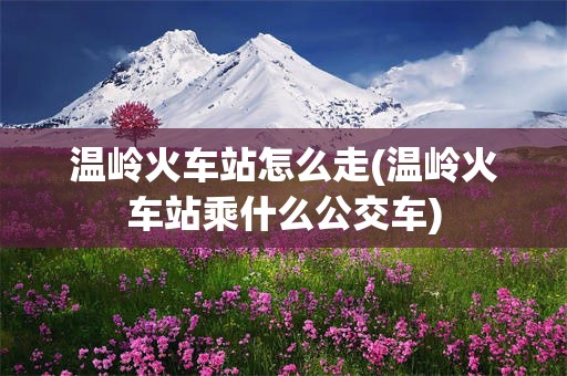 温岭火车站怎么走(温岭火车站乘什么公交车)