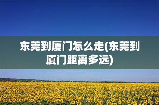 东莞到厦门怎么走(东莞到厦门距离多远)