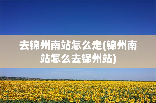 去锦州南站怎么走(锦州南站怎么去锦州站)