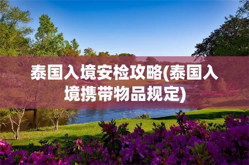 泰国入境安检攻略(泰国入境携带物品规定)