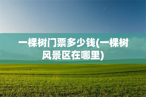 一棵树门票多少钱(一棵树风景区在哪里)