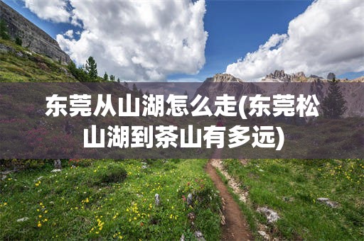 东莞从山湖怎么走(东莞松山湖到茶山有多远)